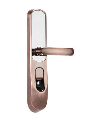 ָ�y�ܴa���iDS-L2-FCP